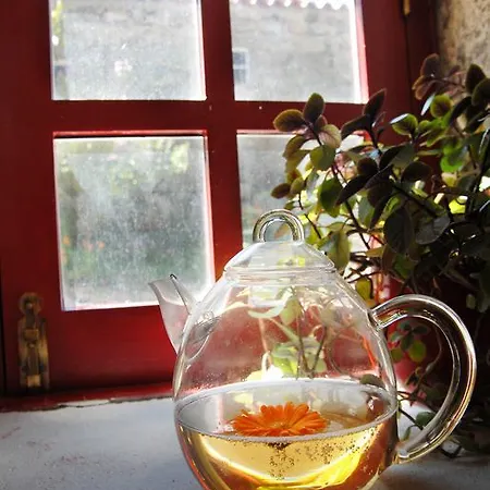 Летний дом Casas Da Ribeira Сейя