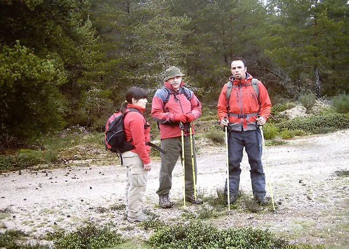 Casas Da Ribeira Seia