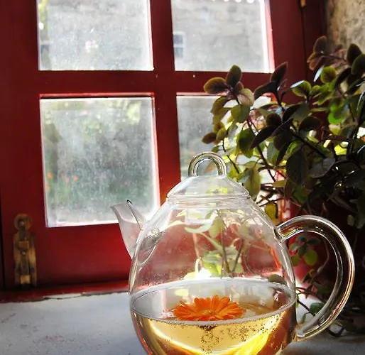 Casa de Campo Casas Da Ribeira Seia